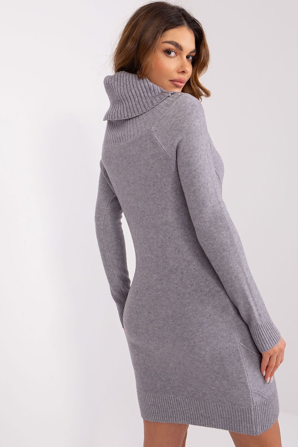 SHIRLYN Sophisticated Knit Dress with Turtleneck and Long Sleeves